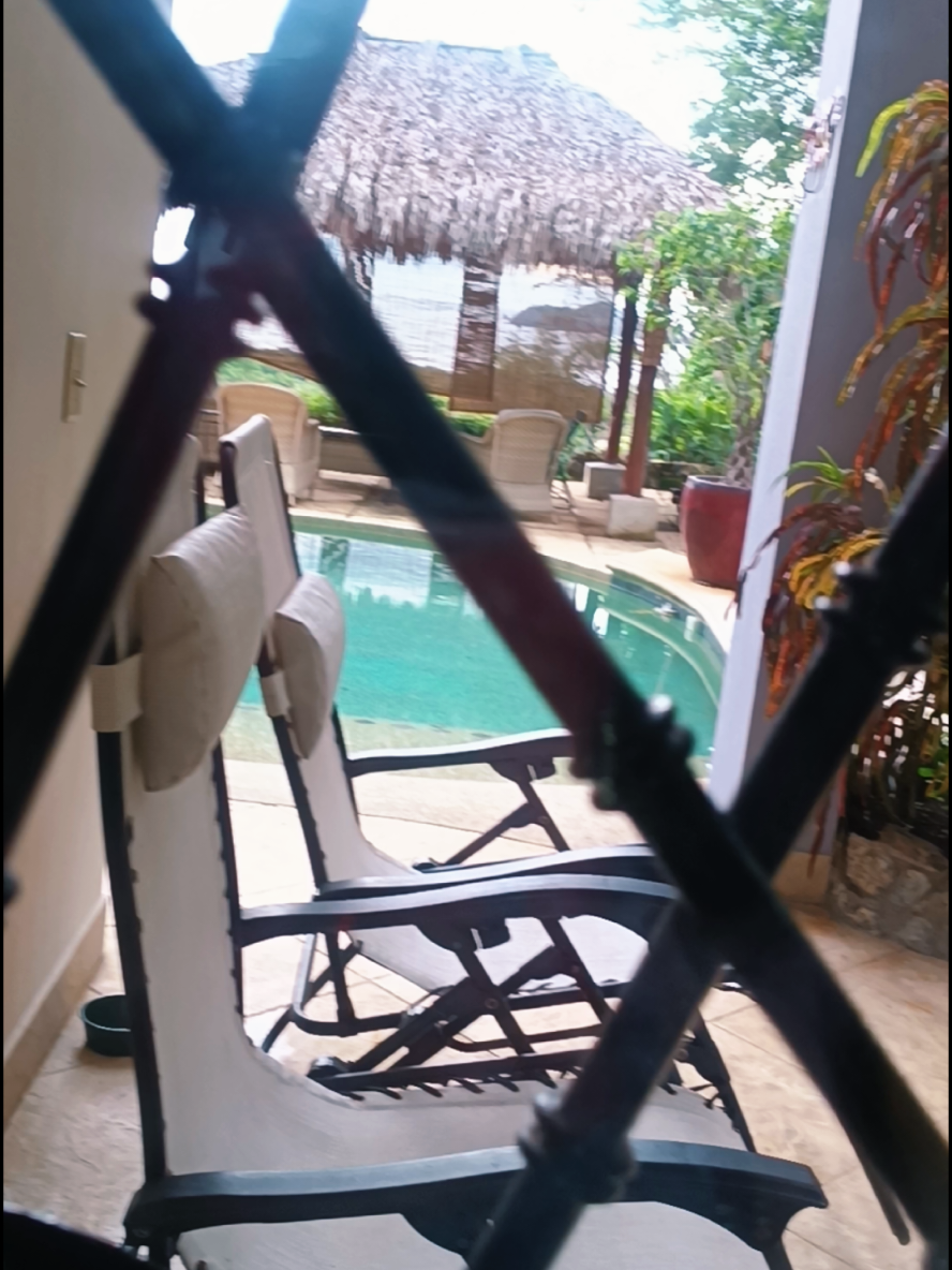 @Marlen Trigueros Ch