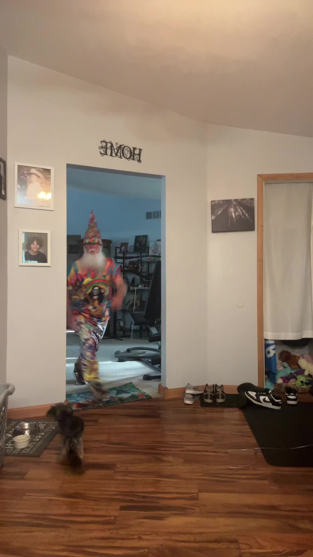 @Gerald papa gnome wellman