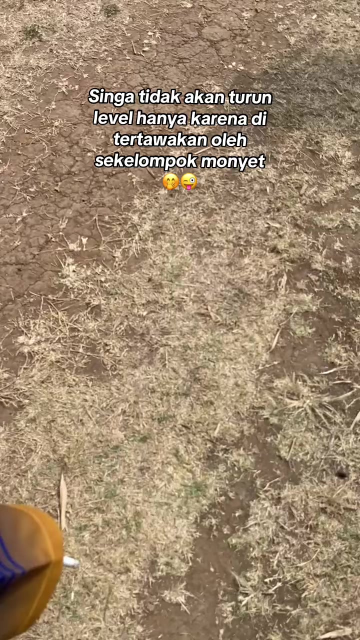 @Kj Sloww29🐉