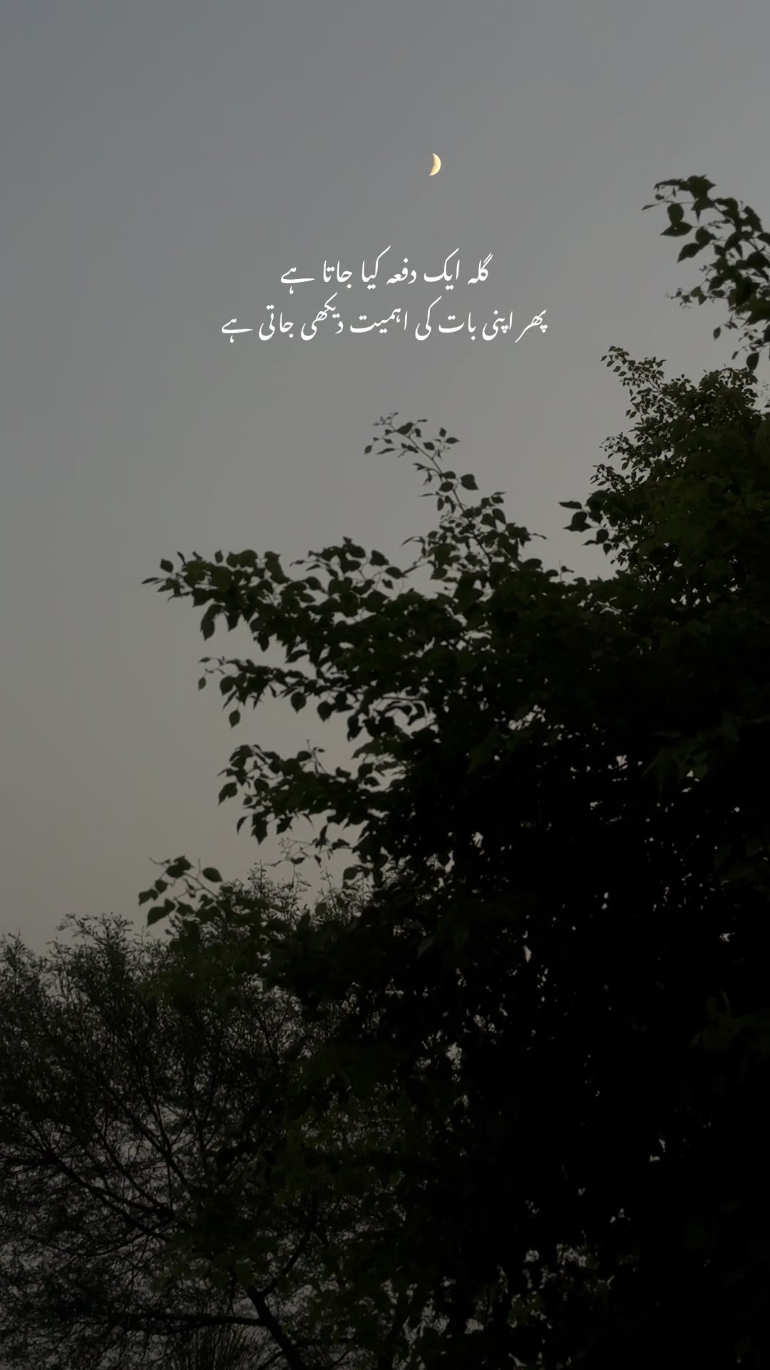 @حمزہ 💫🫀