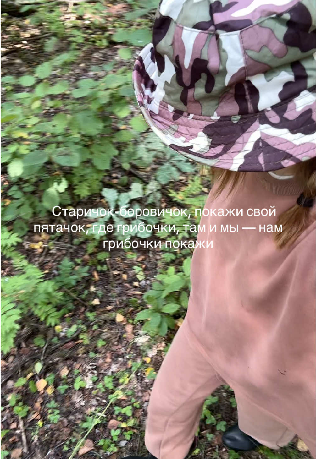 @shorodda