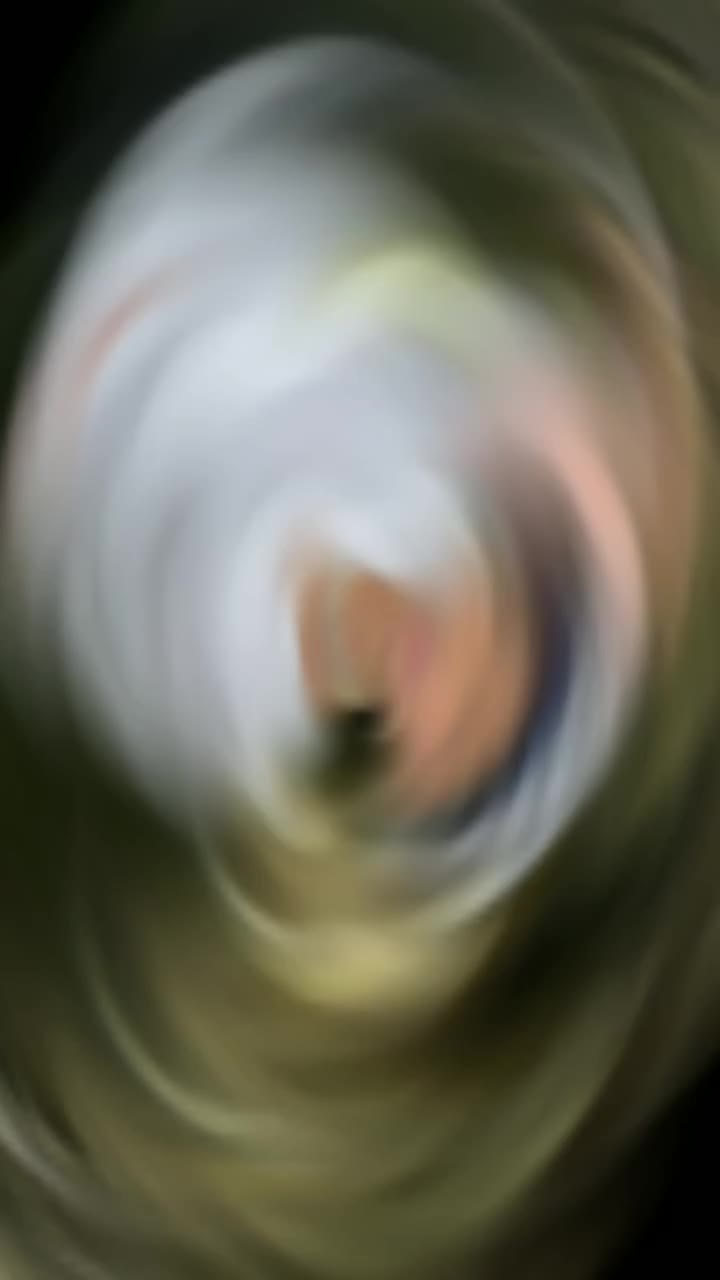 @꧁ঔৣ 𝓯𝓪𝓷 𝓹𝓲𝓬𝓾ঔৣ꧂