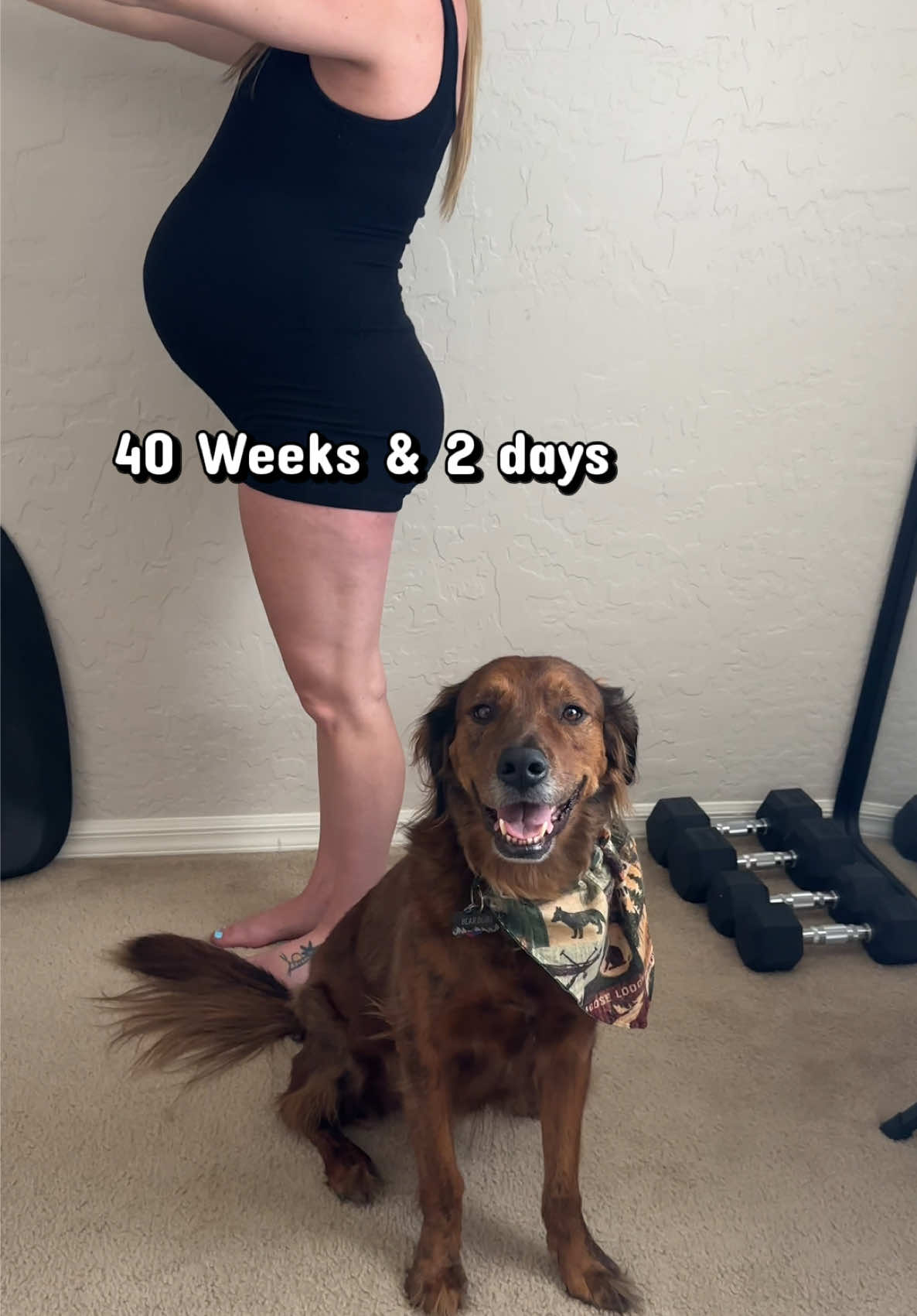 @laceyxdubs