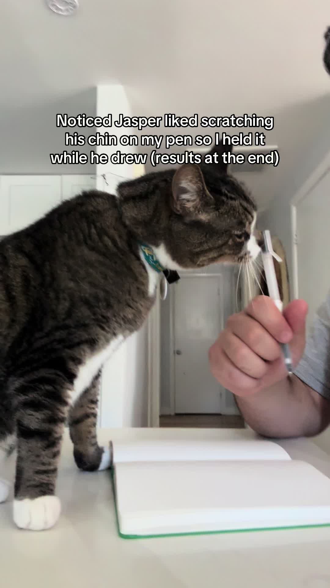 @loubert_the_cat