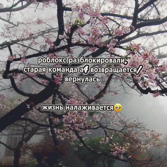 @#ʍᴀᴩʍᴇᴧᴀднᴀя