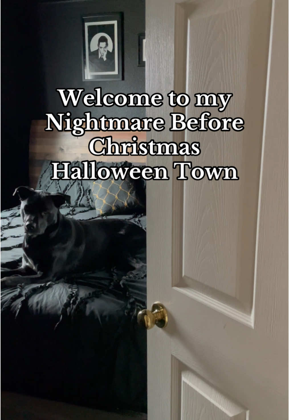 @MotherSpookyWitch