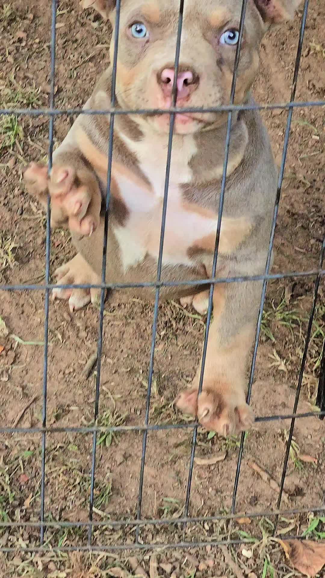 @EClassBullys