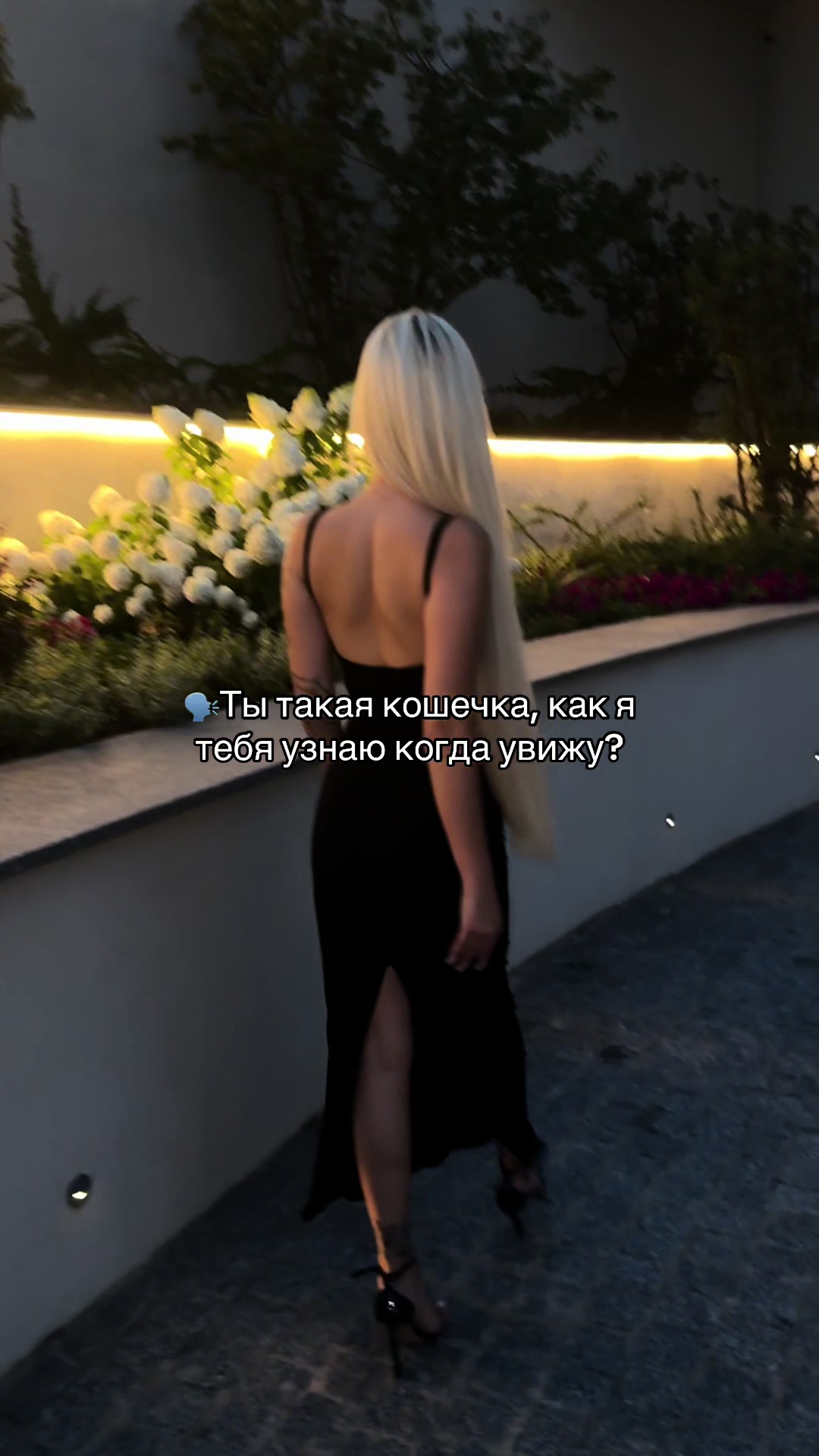 @Al666exa
