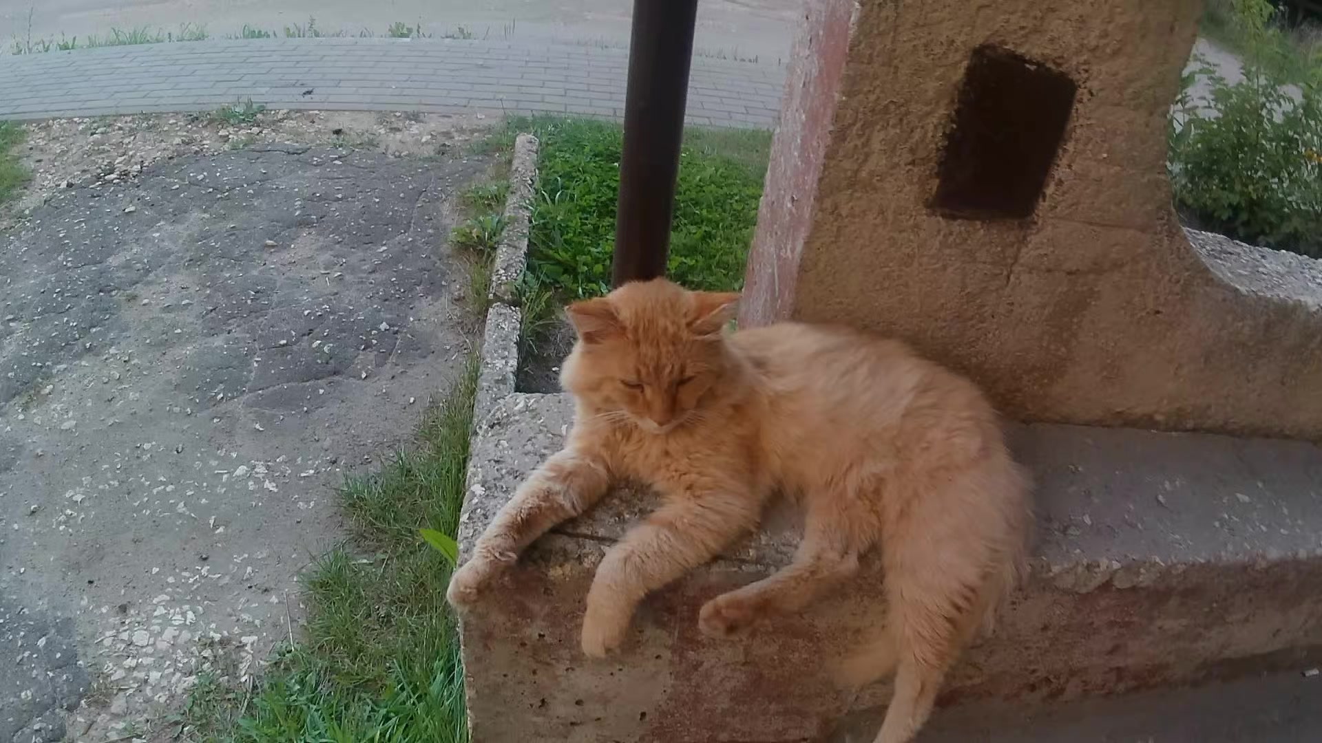 @Макс боль длсс5