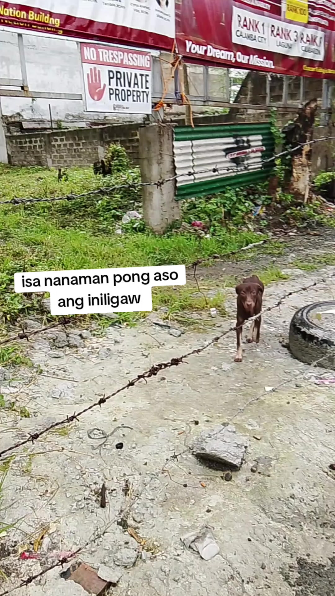 @Ate @Ana
