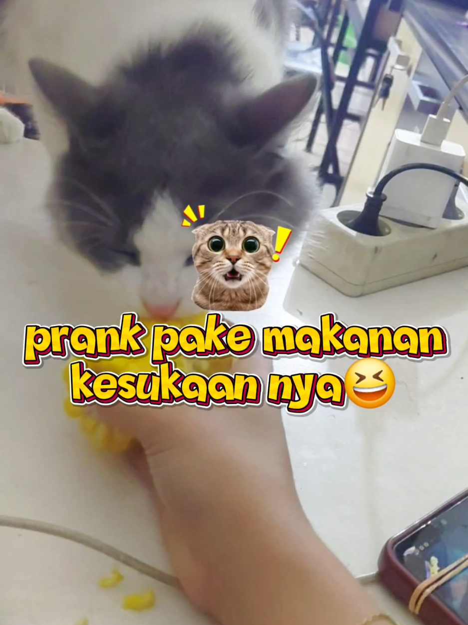 @Erni_marpaung