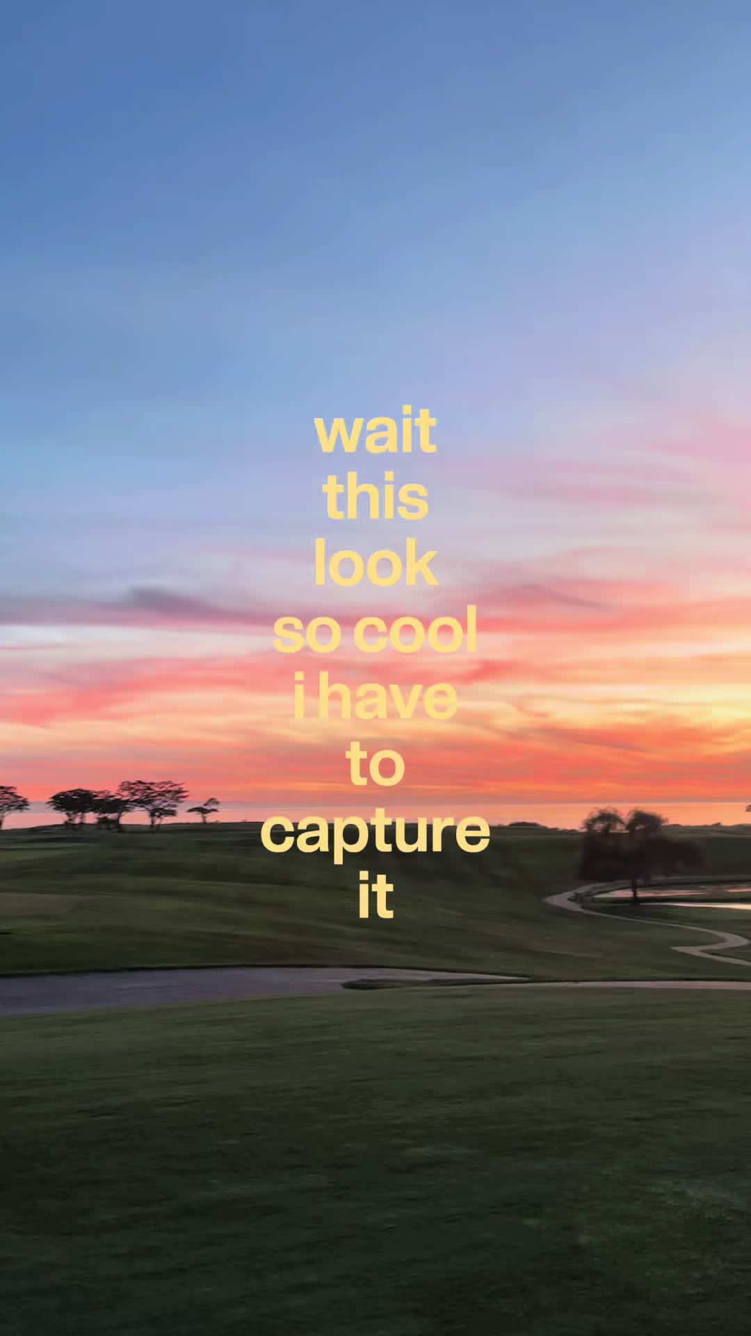 @lia