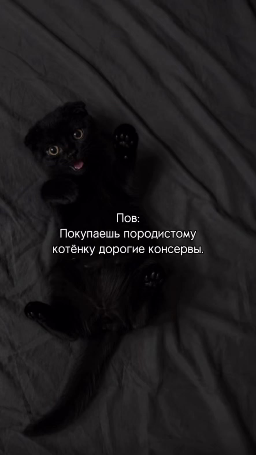 @ᚾ𝐀𝐍𝐀𝐒𝐓𝐀𝐒𝐈𝐘𝐀ᚾ