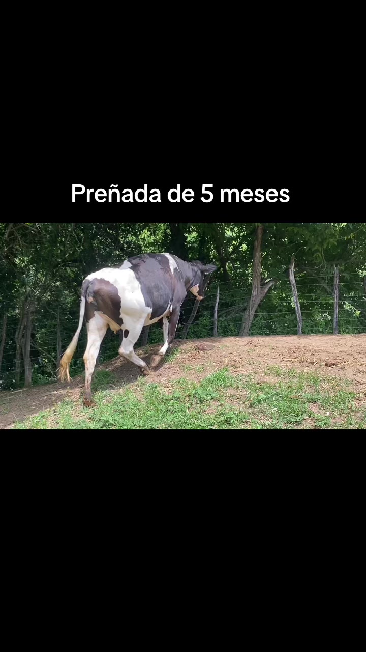 @Darlin Rodriguez Val
