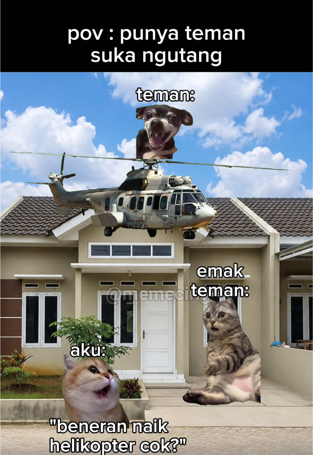@Memecing