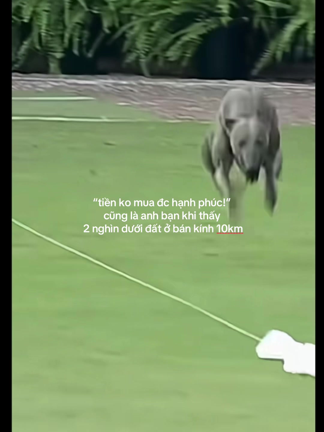 @peo0dhl