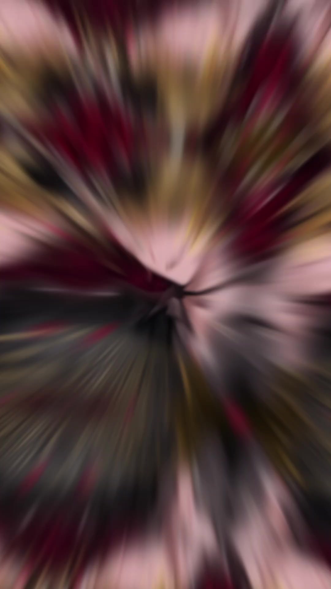@ď¸đâĄăăđ⏠Íđ