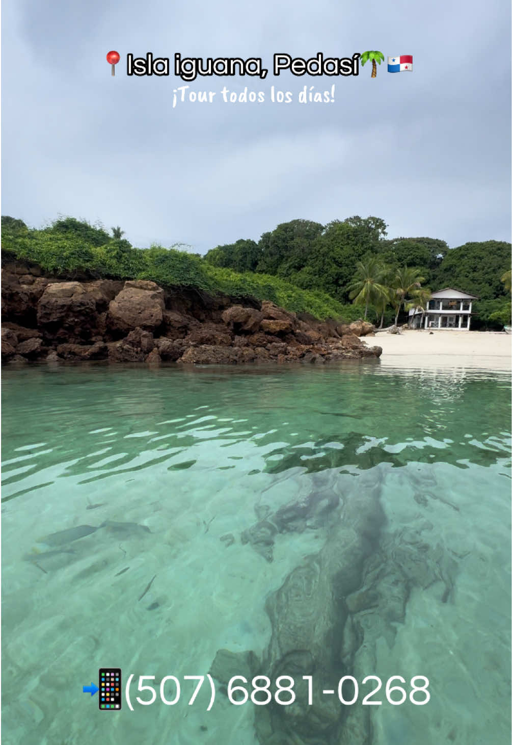 @Coral tours Panam&aacute; 🇵🇦