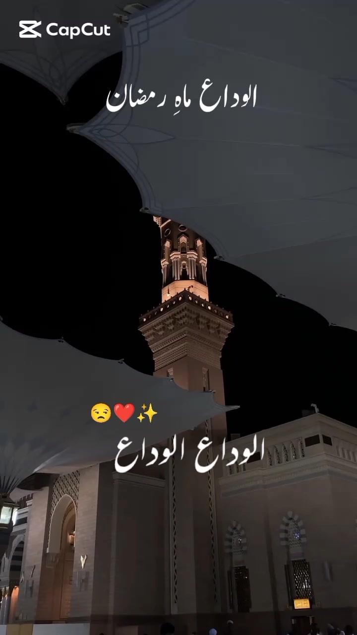 @𝙼𝚎𝚘𝚠 𝙻𝚒𝙻𝚒