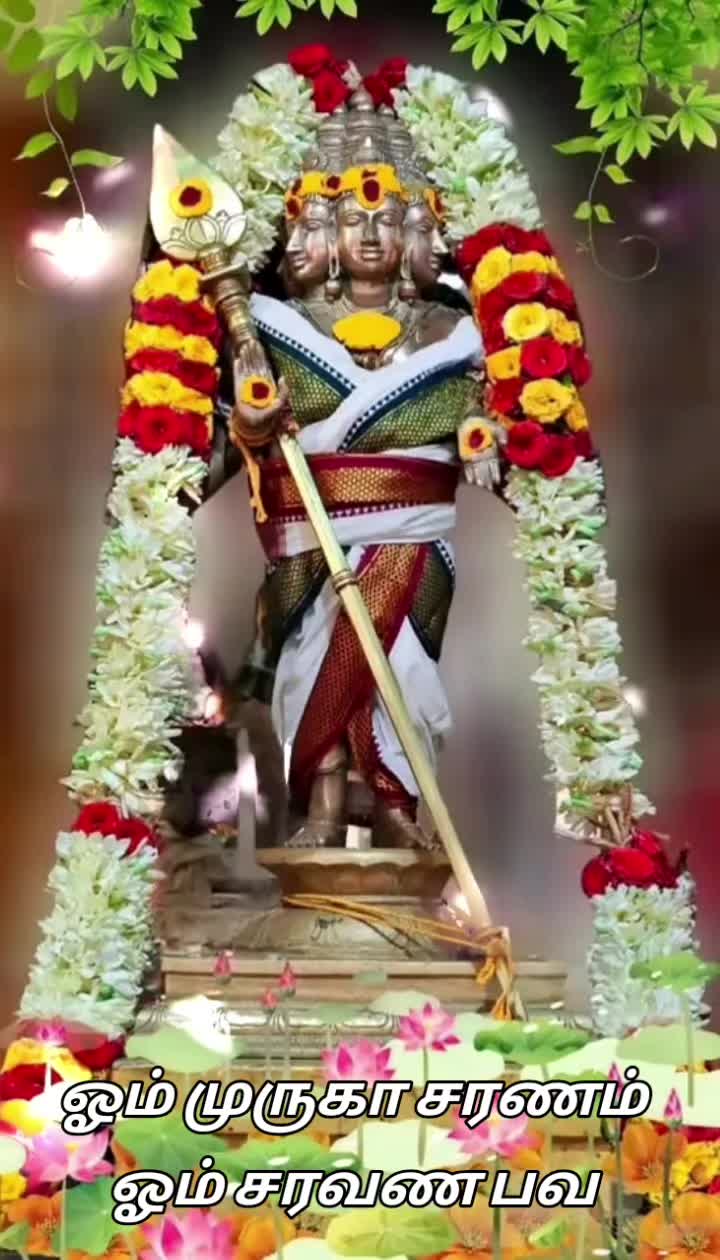 @sree_raj
