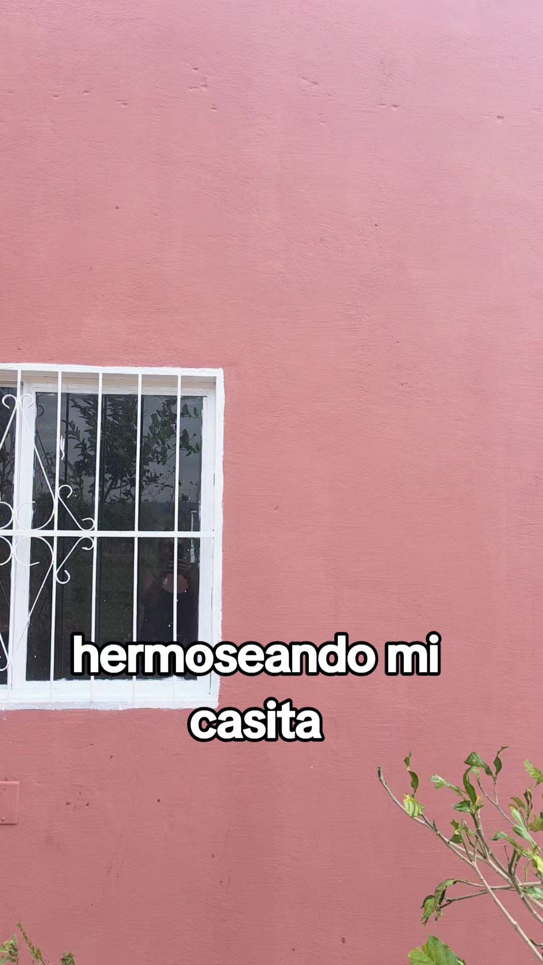 @La abuela ely