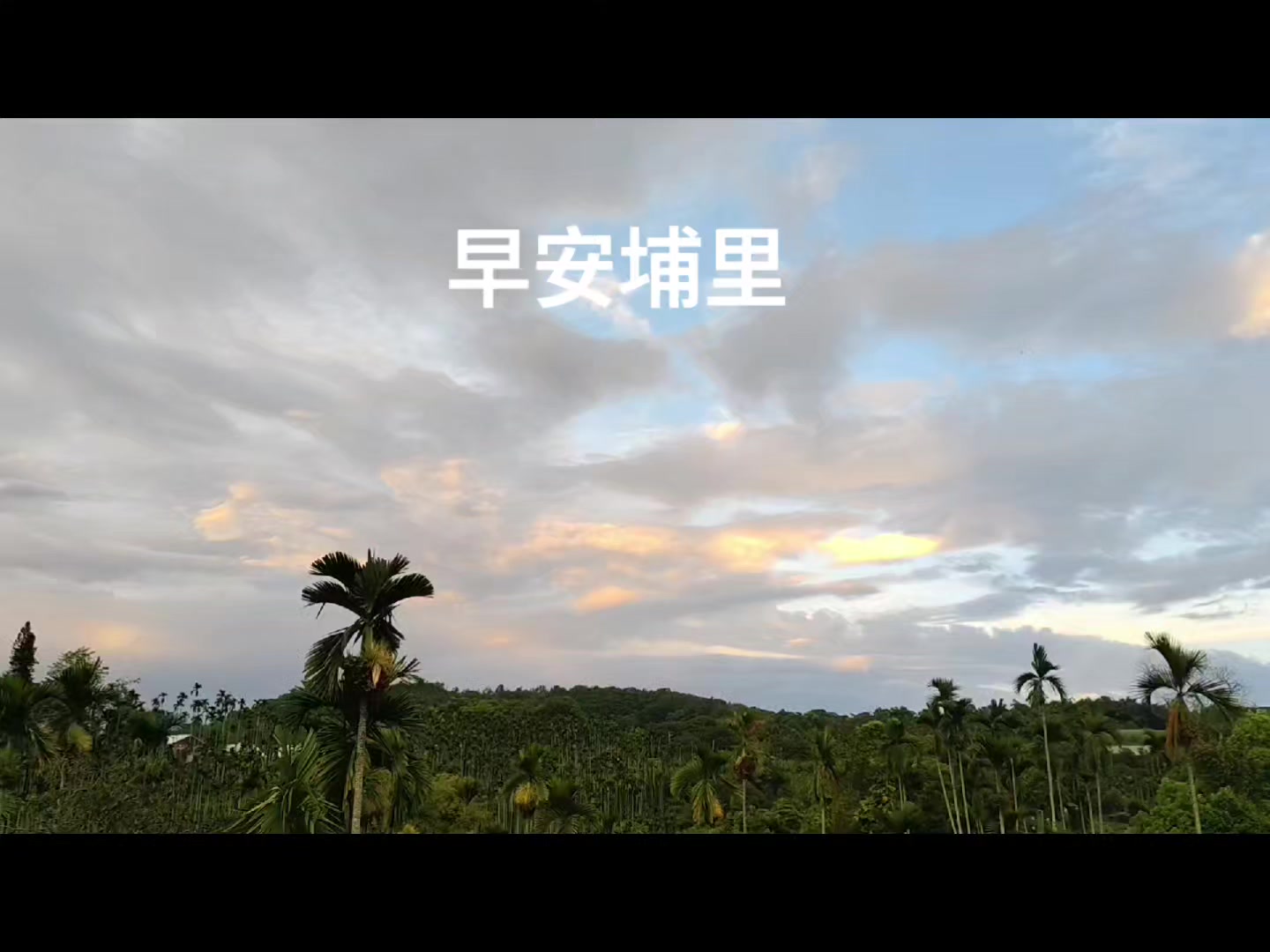 @好運蓮蓮