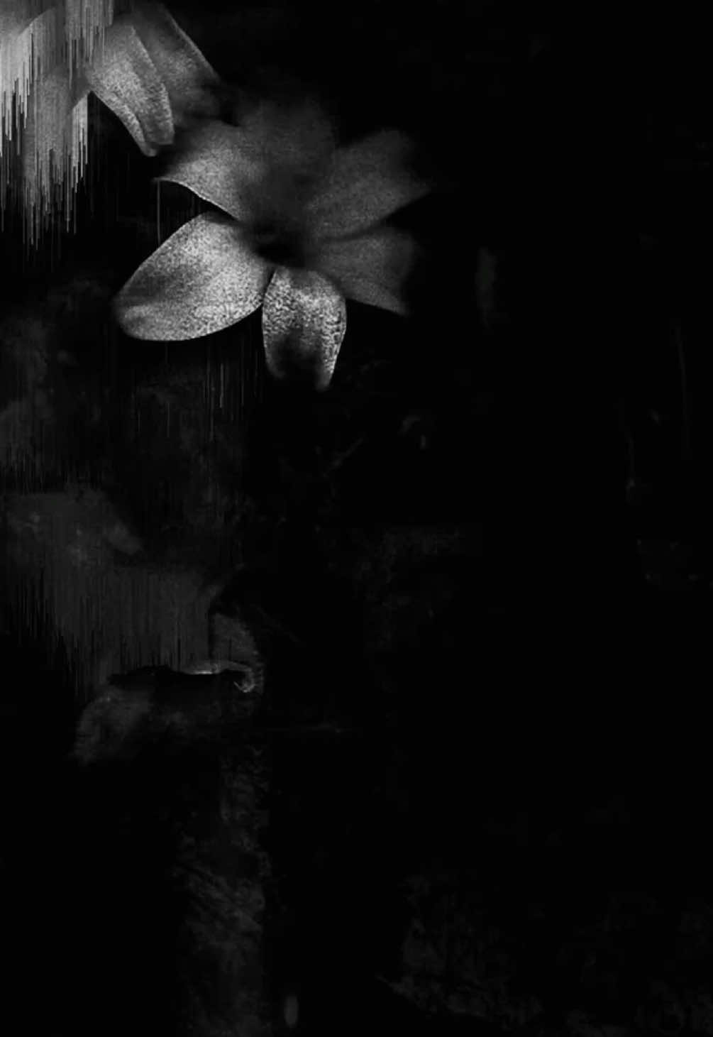 @˖𓍢ִ໋༘⋆ִׄⲃׄ𐐼ִׄⲃִບྀིׄ ♡̸̸̸̸ྀིᛝ
