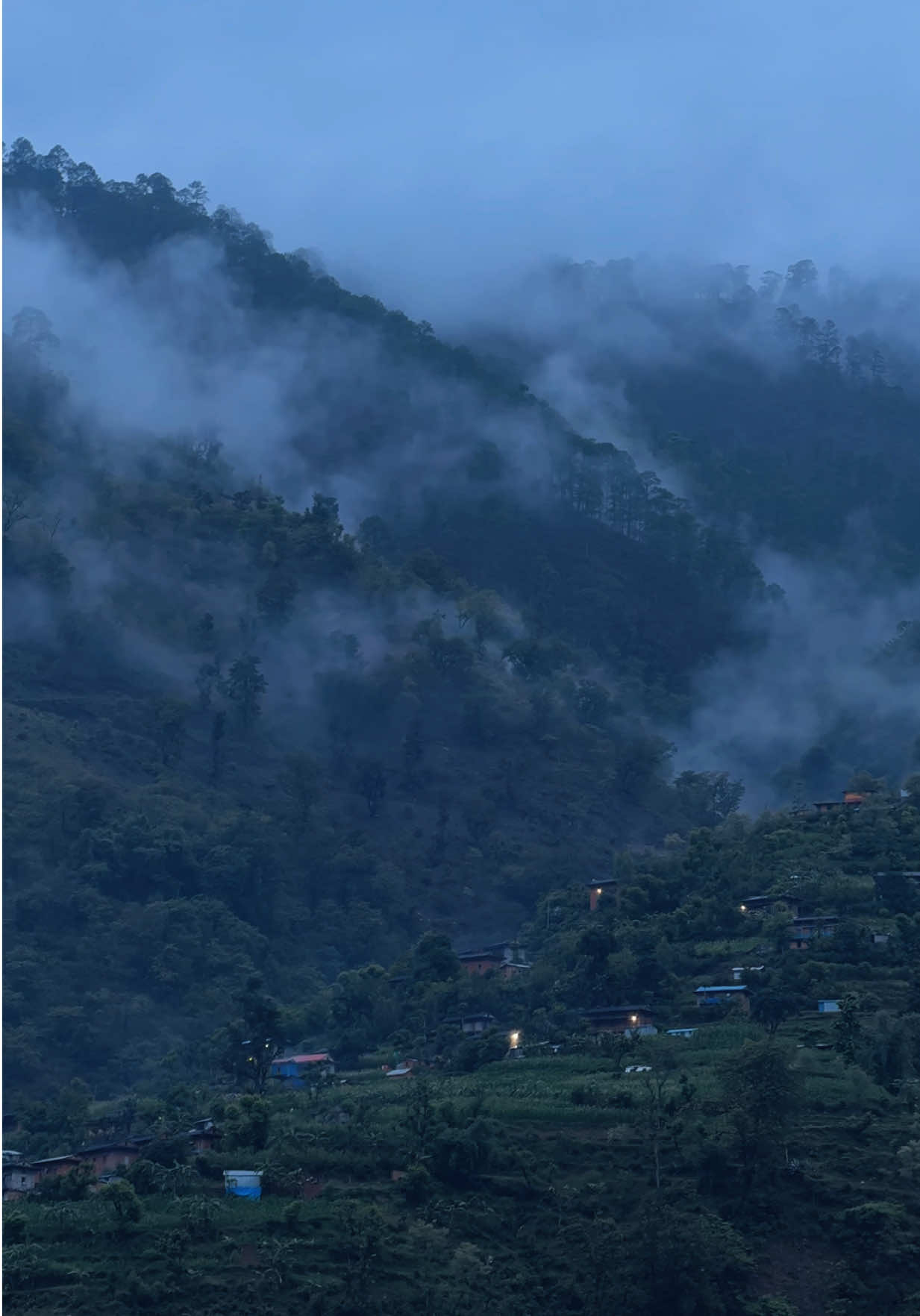 @Dipa shahi 🕊️