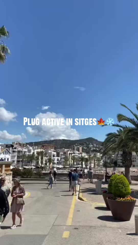 @Baggio Diego