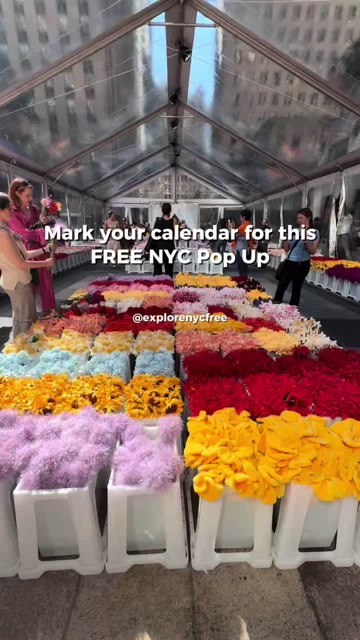 @explorenycfree