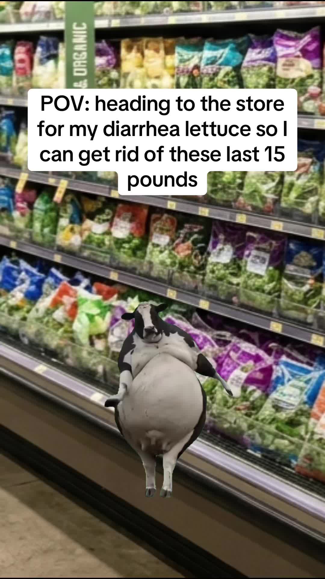@britty_paige