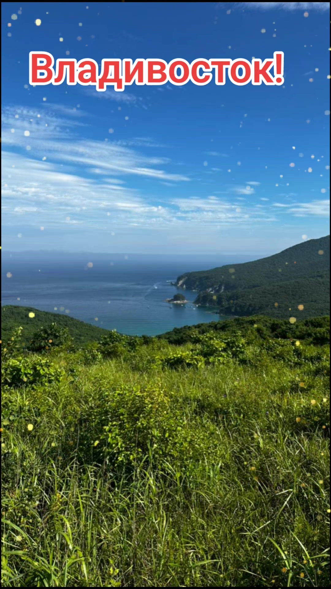 @anekdoti_ot_Petrovicha