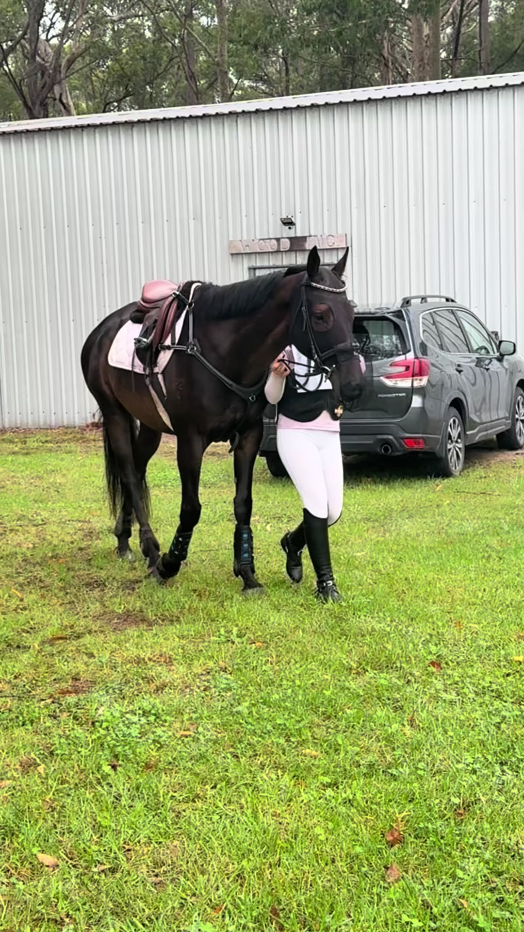 @skye.oequestrian38
