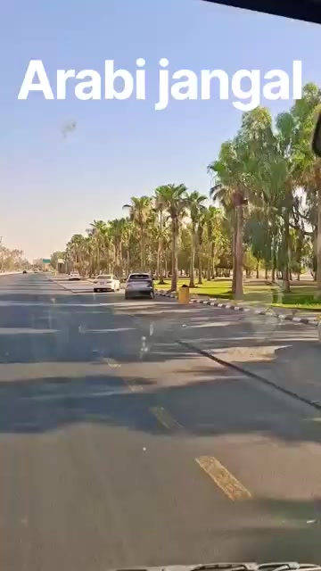 @Shahjad Shahjad
