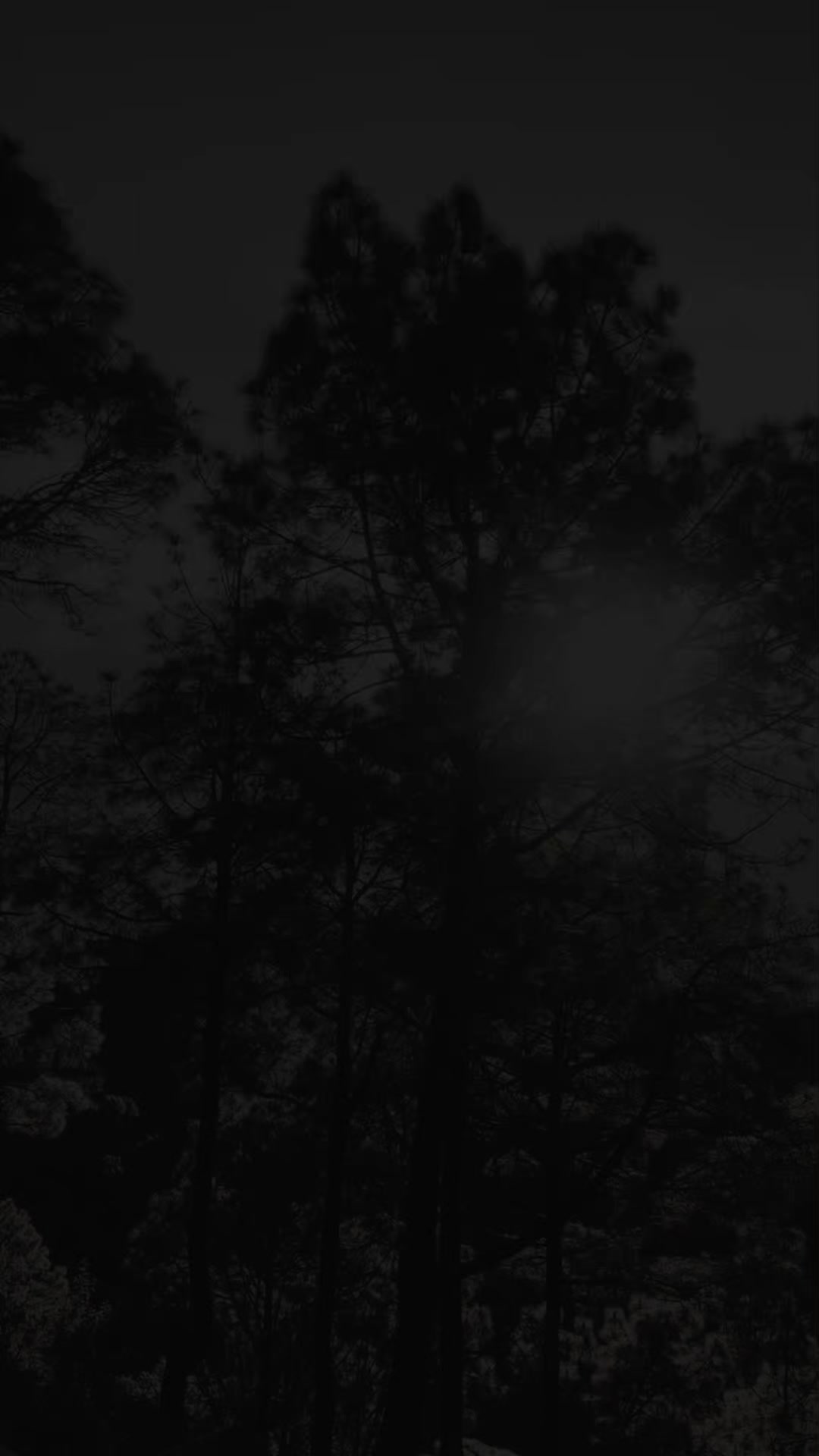 @𝓒𝓱𝓪𝓶𝓪