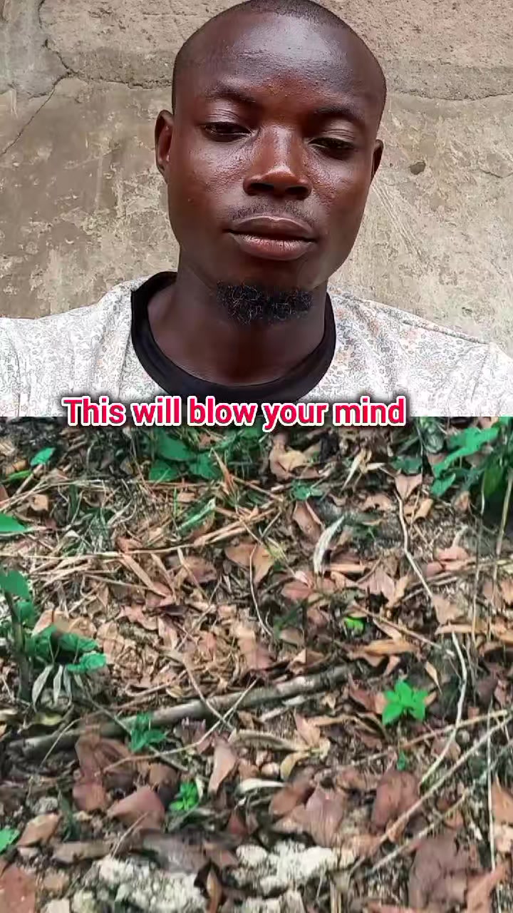 @Arinze042