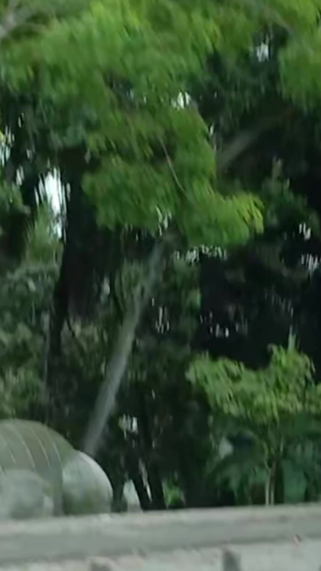 @Yoli Ramos415
