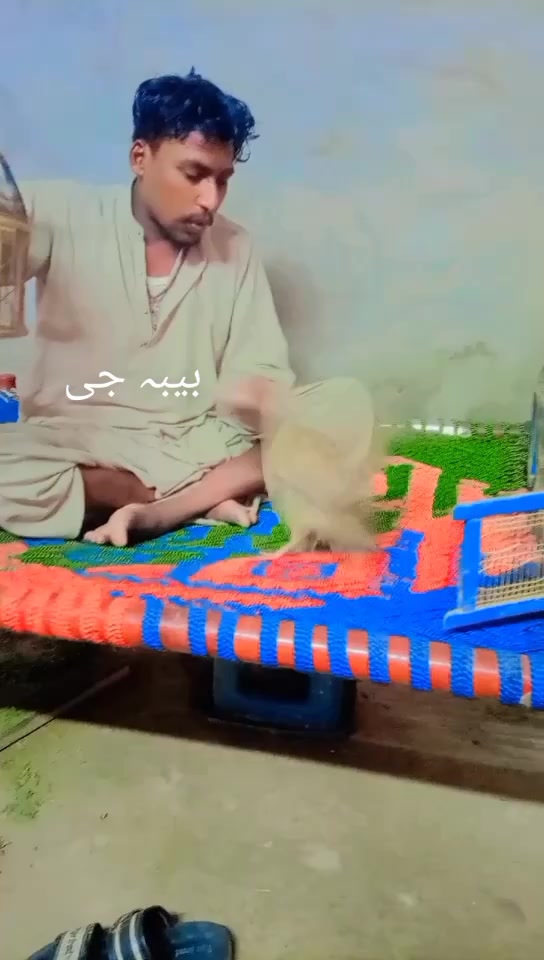 @بیبہ110🤕