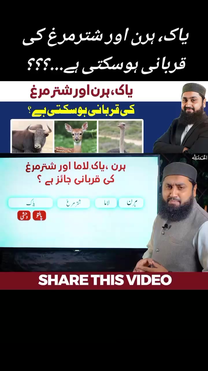 @꧁ᕯ❈Muhammad Saqib Attari❈ᕯ꧂i