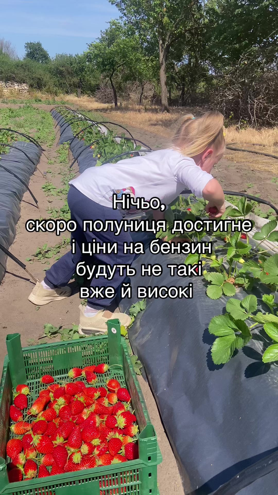 @Катеринка 🇺🇦