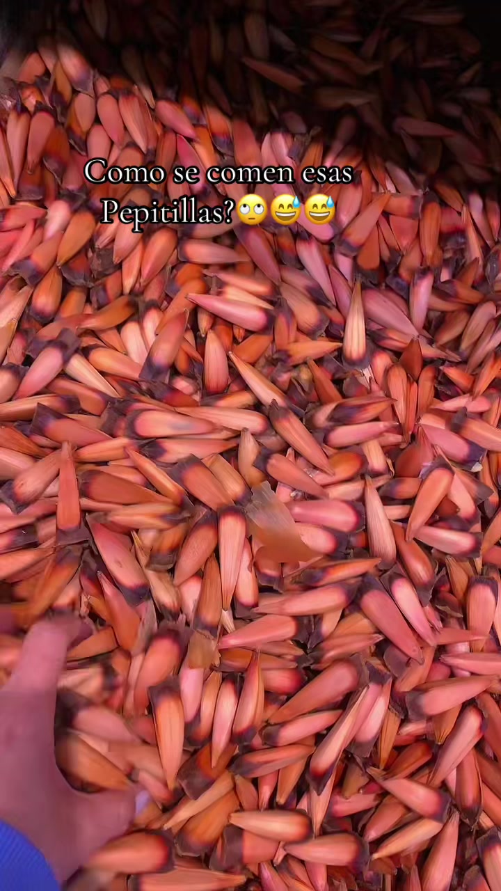 @con_yenifer