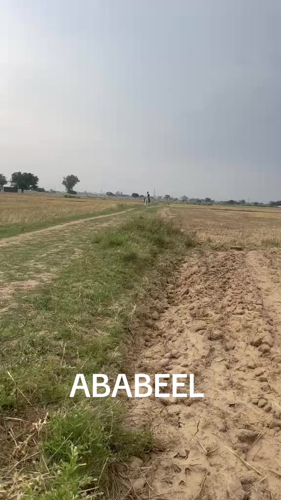 @Farasat Ali Ranjha Awan