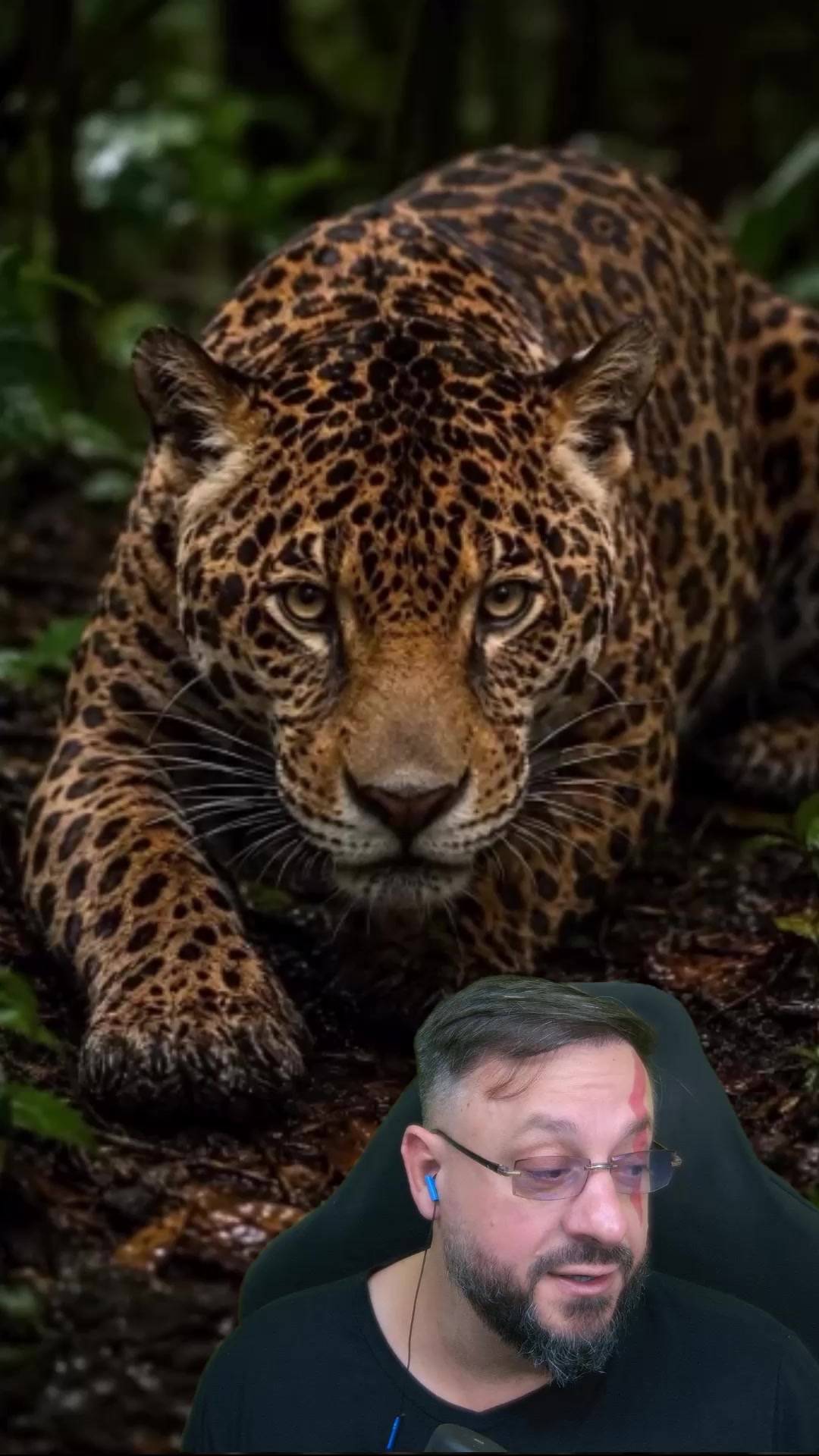 @Bi&oacute;logo Henrique