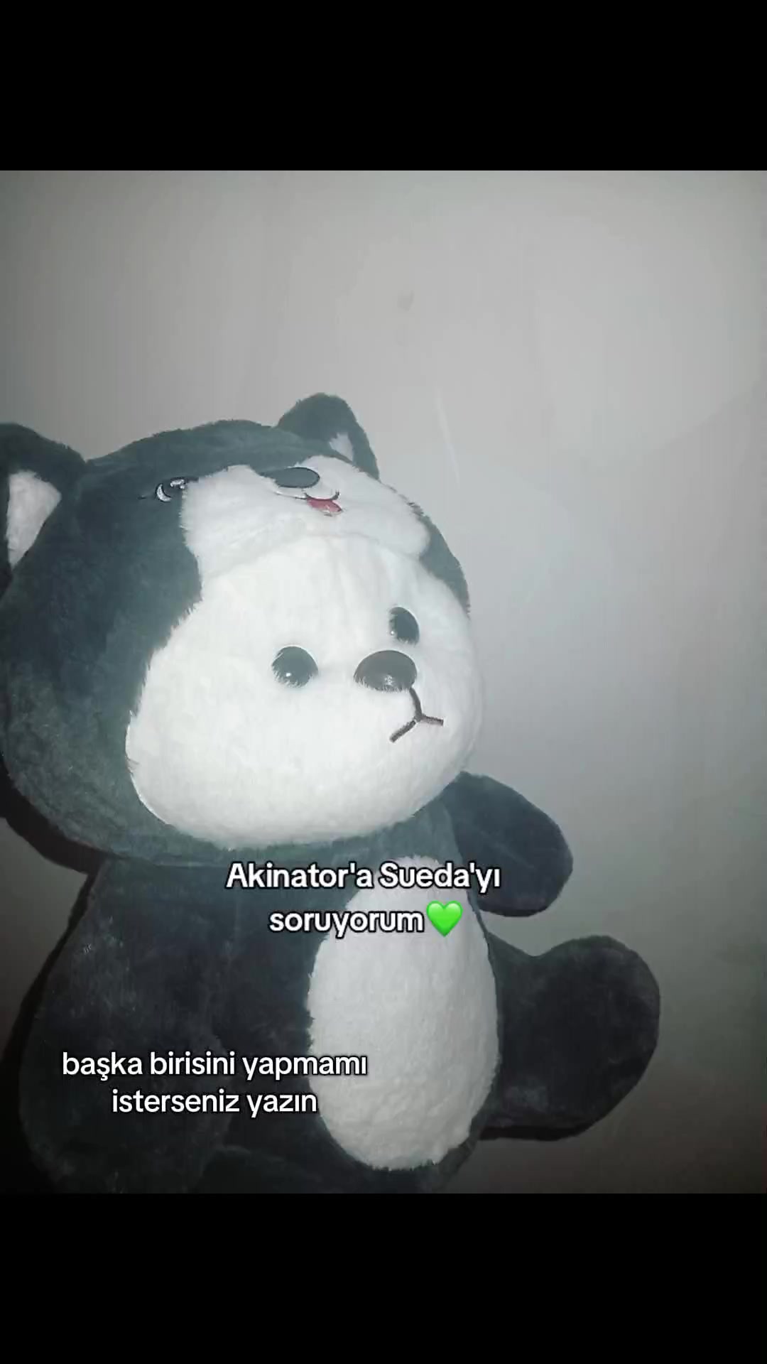 @🇦🇿🐰