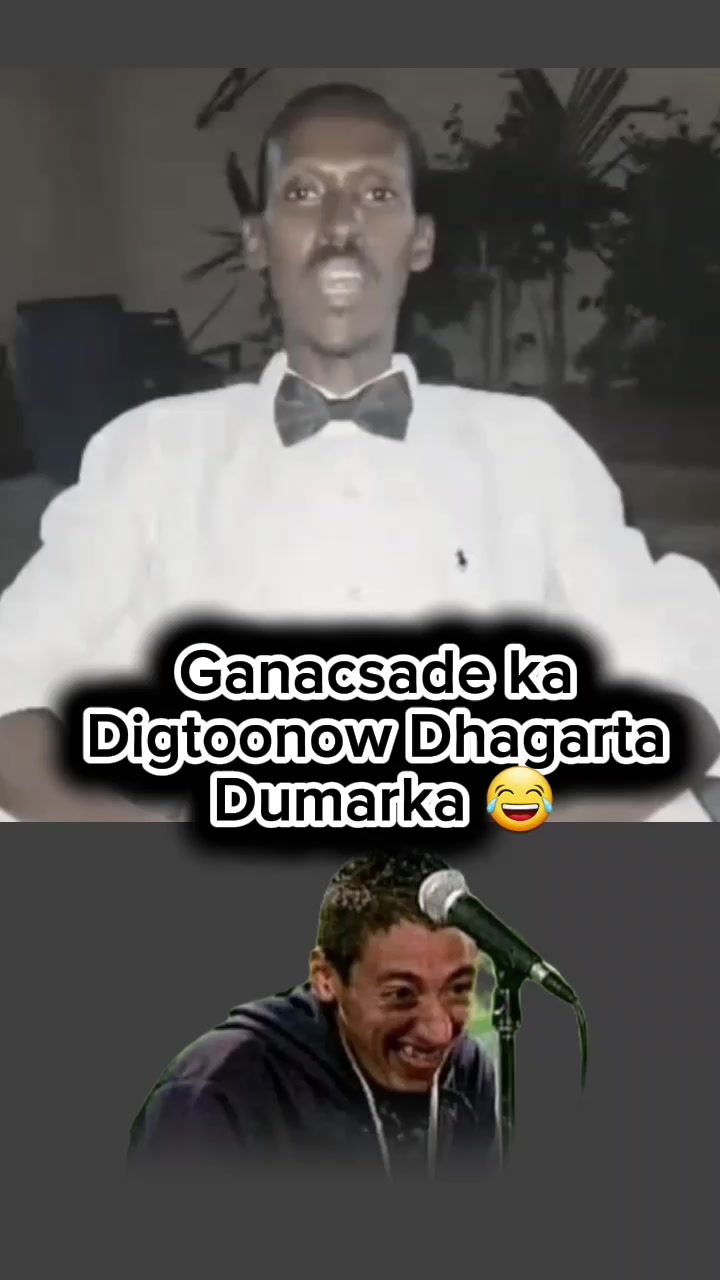 @cirshidawi