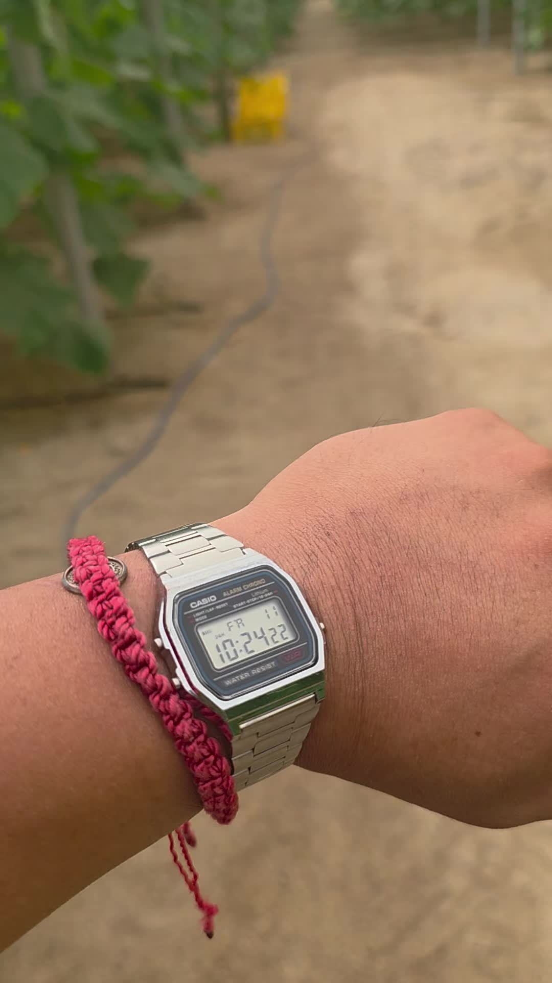 @El Extensionista del Agro