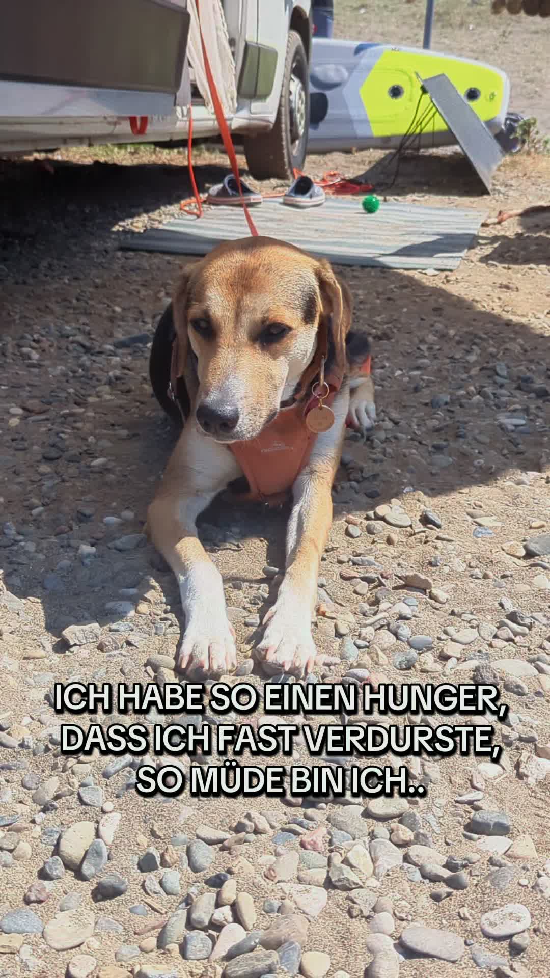 @ꪑⅈꪶꪖ ꪑꪮꪀᥴꫝꫝⅈᥴꫝⅈ