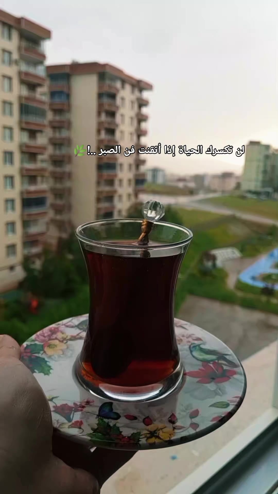 @🇹🇷🕊بنت الموصل 👑🇮🇶