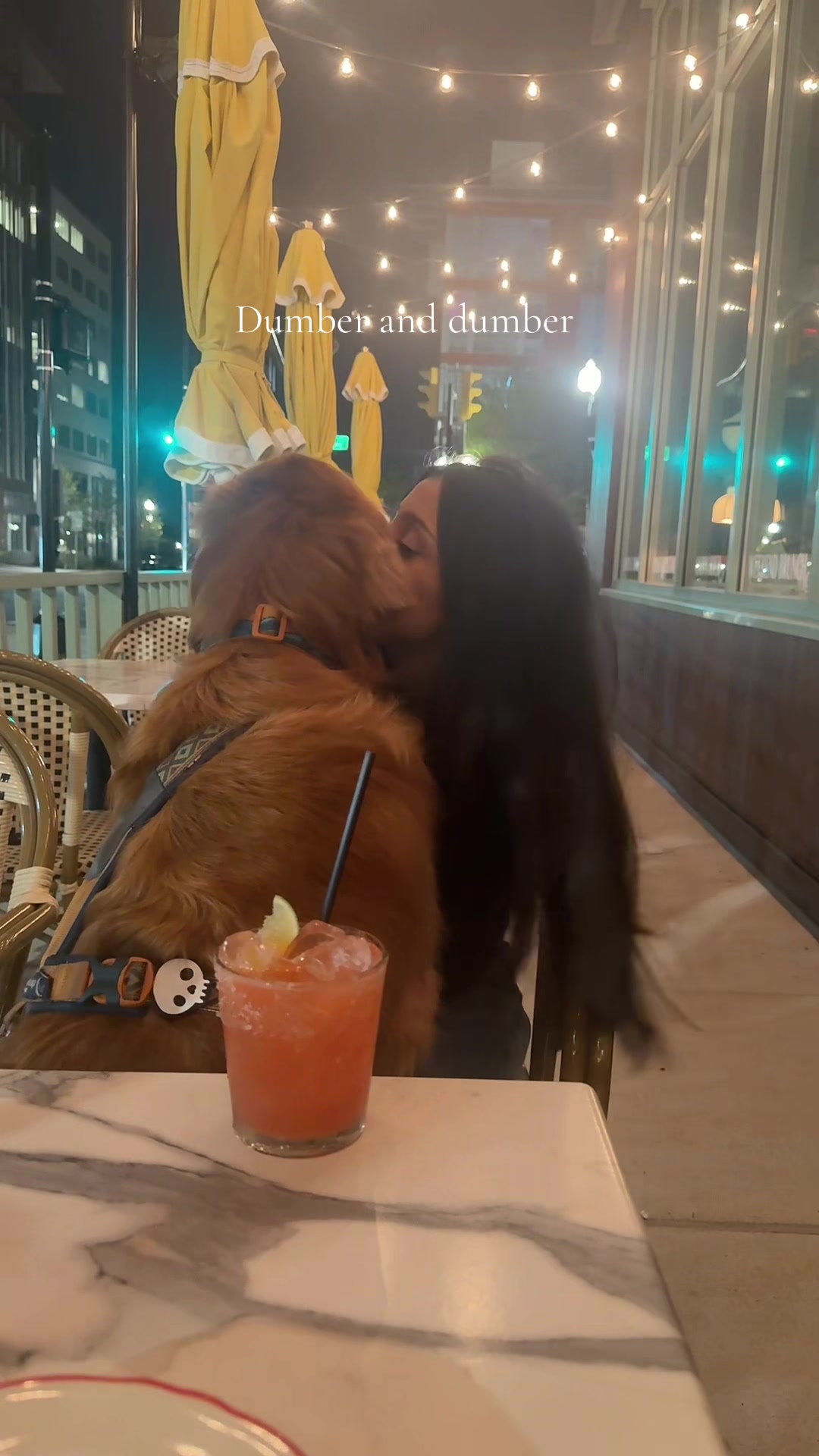 @Bentley the Spicy Golden🌶️