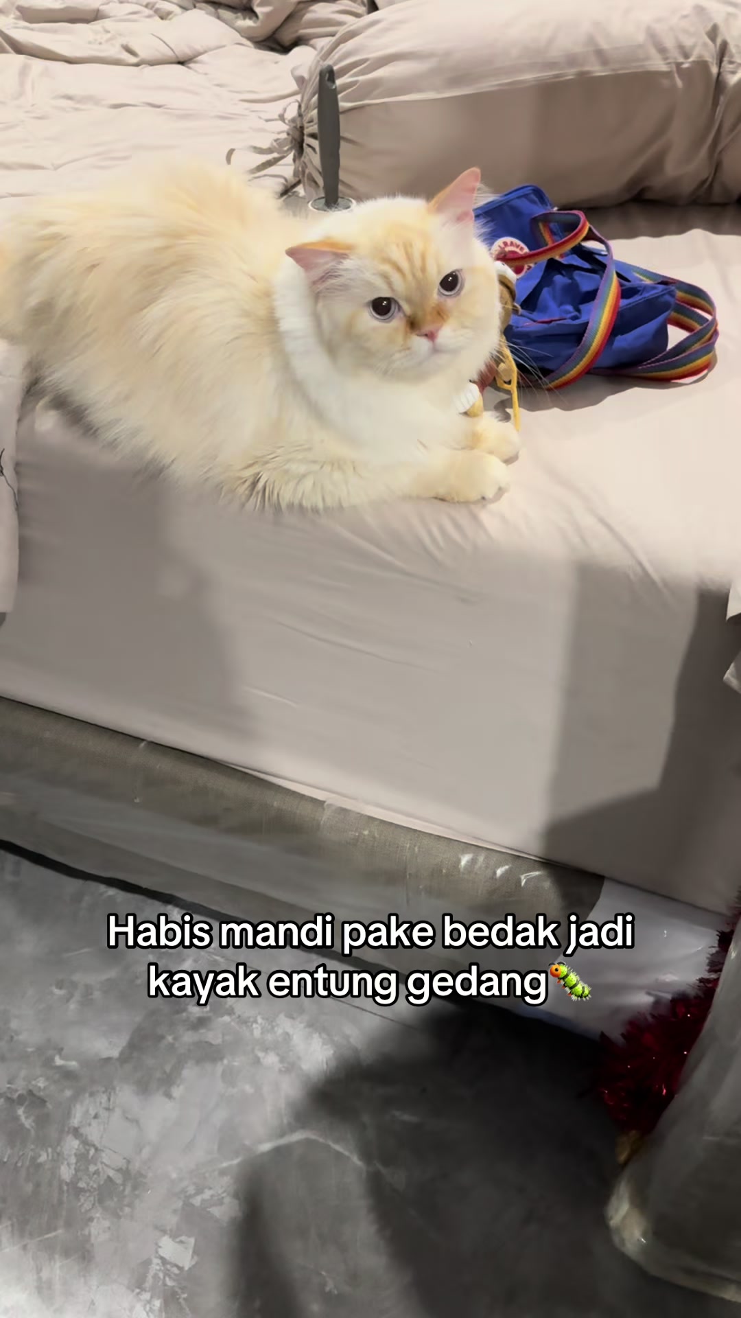 @keluargaboolat